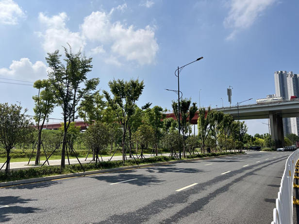 1706759720277321.jpg 图片11.jpg