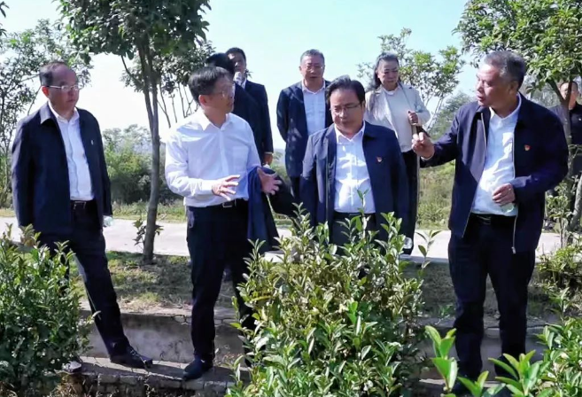 1731294388312456.jpg 05.jpg